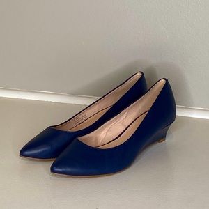 Tahari Blue Wedge Shoes, never worn